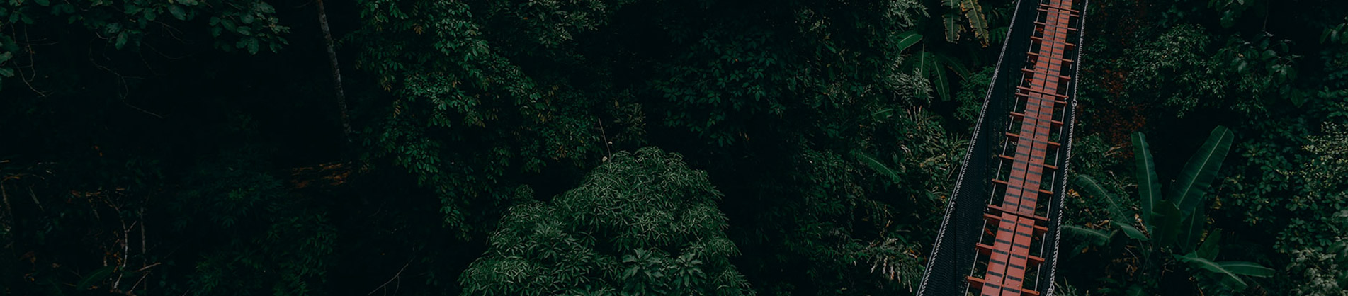 Solutions of Sustainability